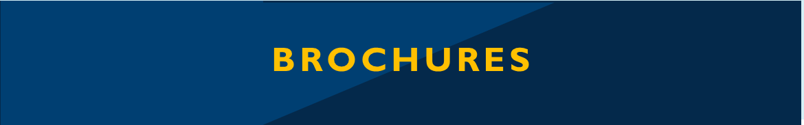 BROCHURE BANNER.png