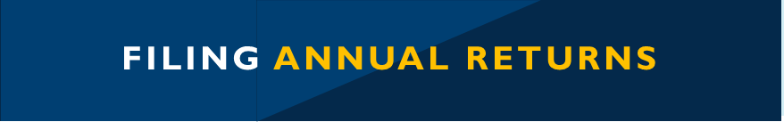 ANNUAL RETURNS HEADER.png
