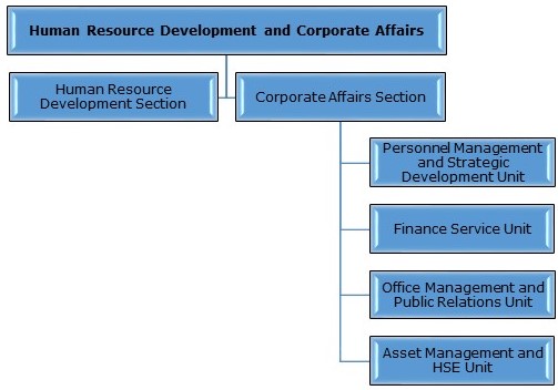 Organizational Chart v2 (2).jpg